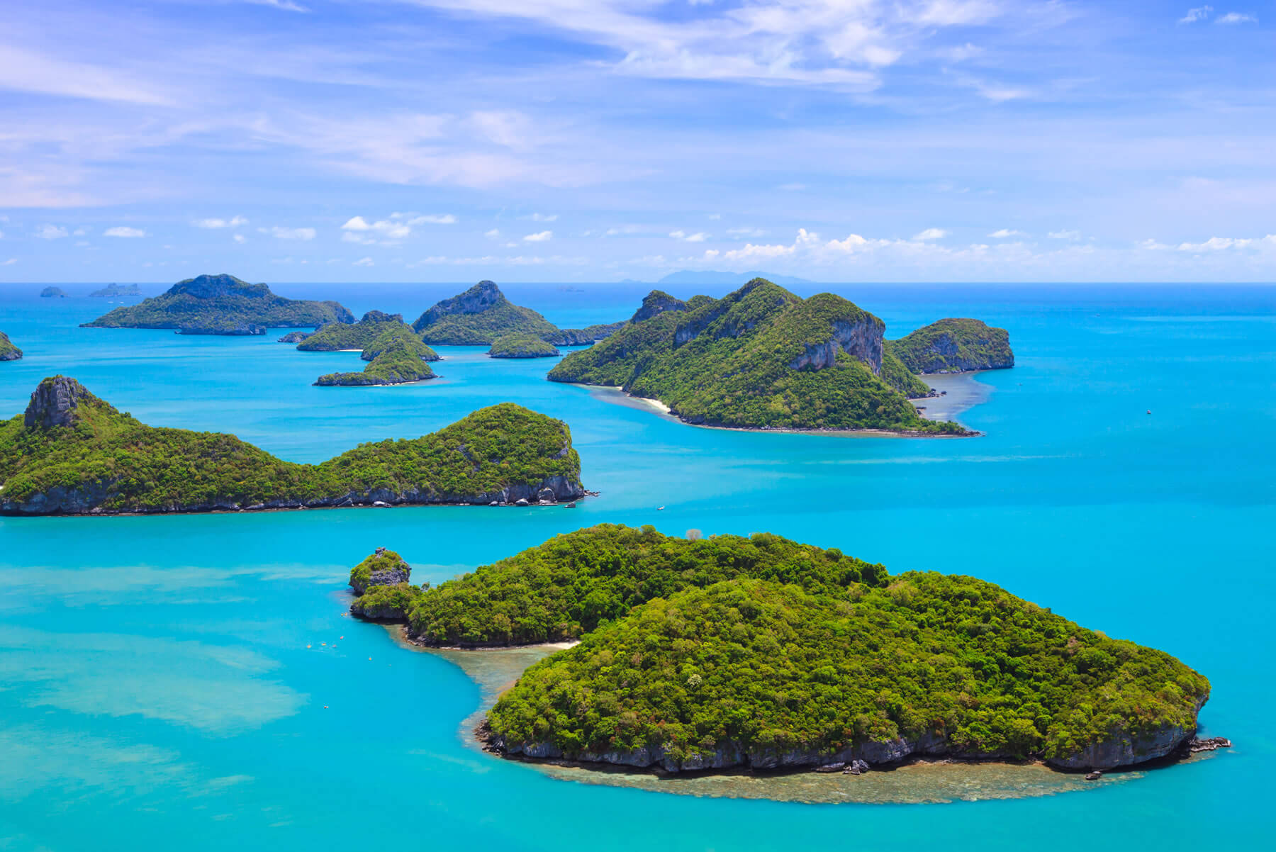 Thai Cooking Classes